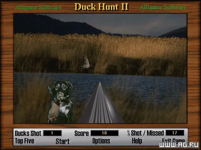 Изображение игры: Duck Hunt 2
