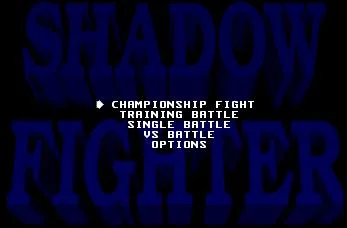 Изображение игры: Shadow Fighter