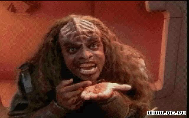 Изображение игры: Star Trek: Klingon