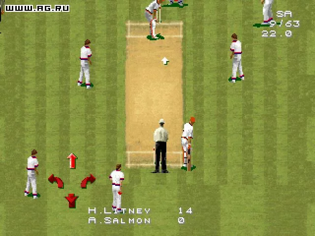 Изображение игры: Cricket '96