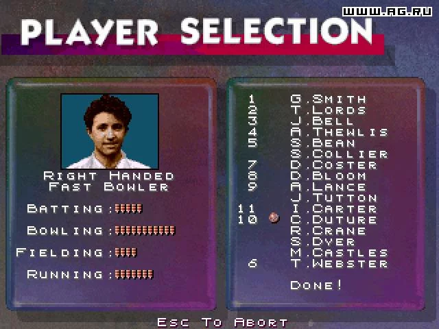 Изображение игры: Cricket '96