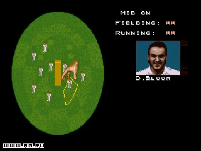 Изображение игры: Cricket '96