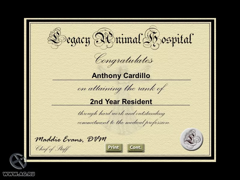 Изображение игры: Vet Emergency 2