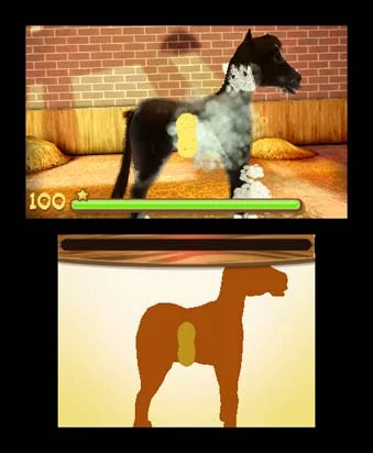 Изображение игры: Let's Ride Best in Breed 3D