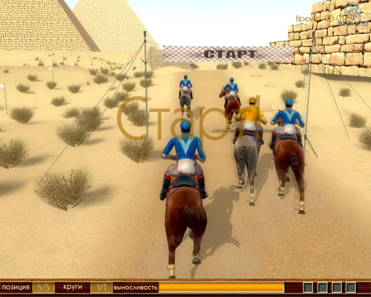 Изображение игры: Derby Champion