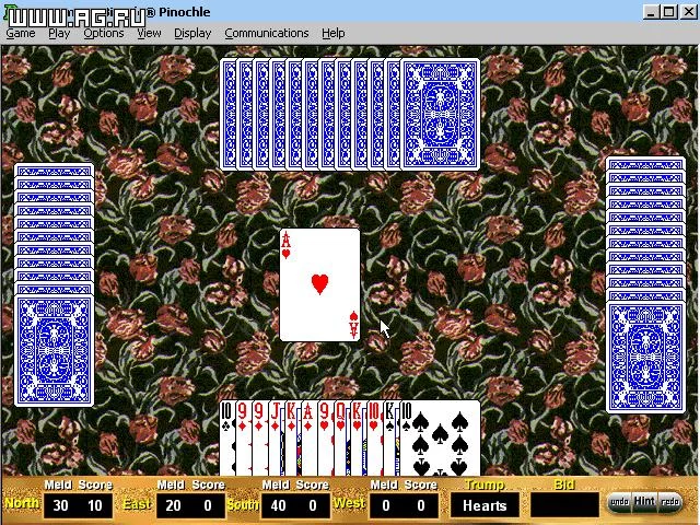 Изображение игры: Bicycle Pinochle