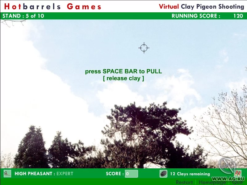 Изображение игры: Hotbarrels Clay Pigeon Shooting
