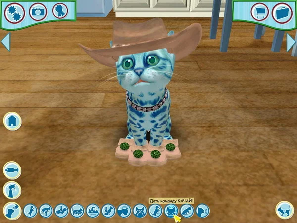 Изображение игры: Catz 6