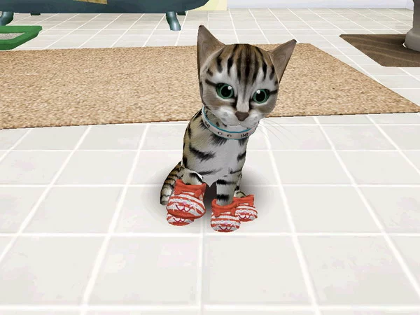 Изображение игры: Catz 6