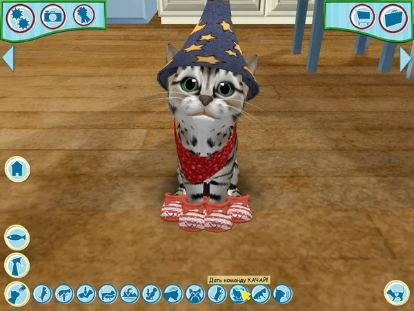 Изображение игры: Catz 6