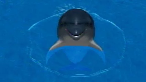 Изображение игры: My Dolphin
