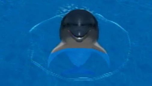 Изображение игры: My Dolphin