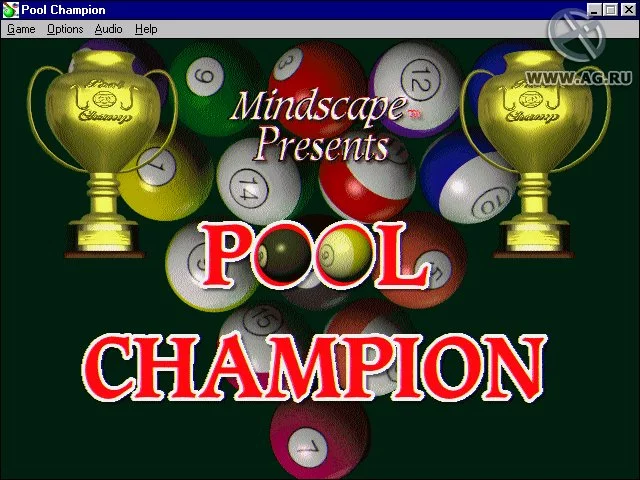 Изображение игры: Pool Champion