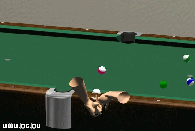 Изображение игры: Pool Champion