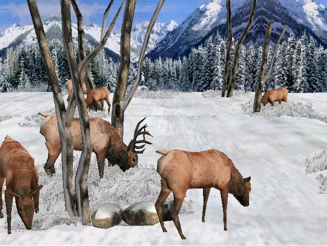 Изображение игры: Big Buck Hunter