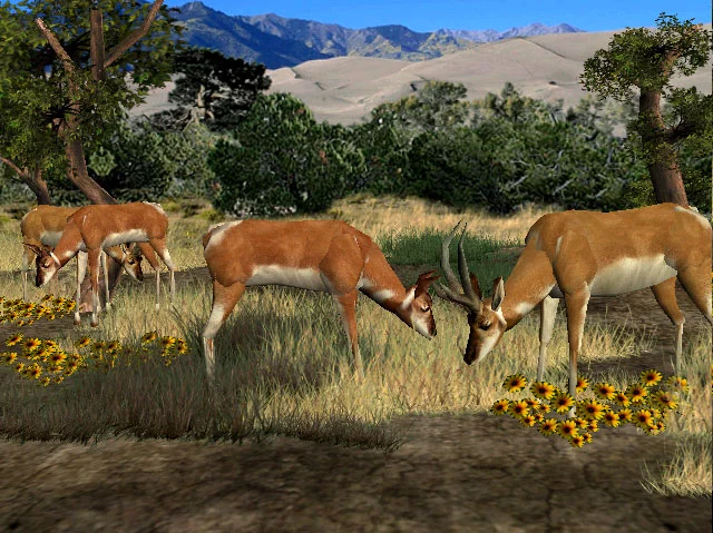 Изображение игры: Big Buck Hunter