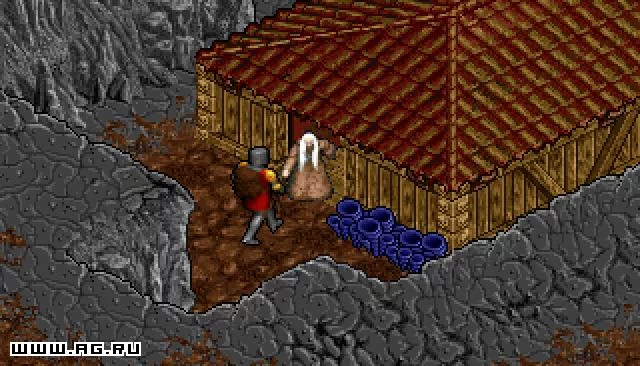 Изображение игры: Ultima 8: The Lost Vale