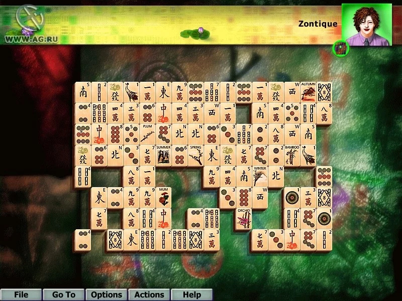 Изображение игры: Hoyle Puzzle Games 2004