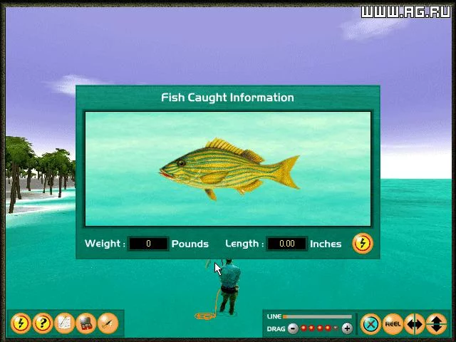 Изображение игры: Saltwater Fly Fishing