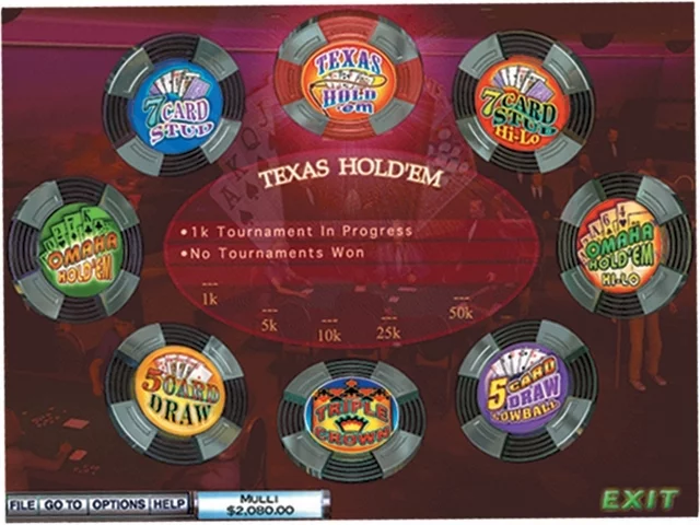 Изображение игры: Hoyle Casino (2008)
