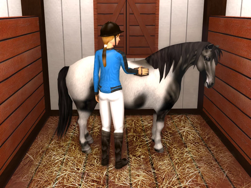 Изображение игры: Rider's World Competition
