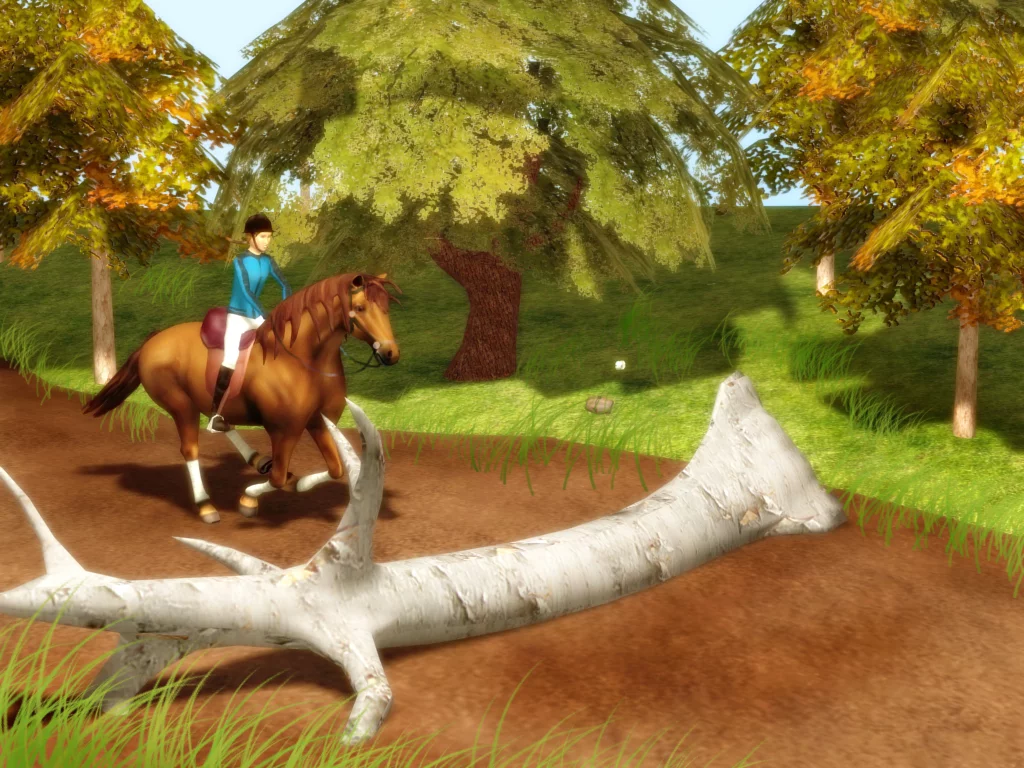 Изображение игры: Rider's World Competition