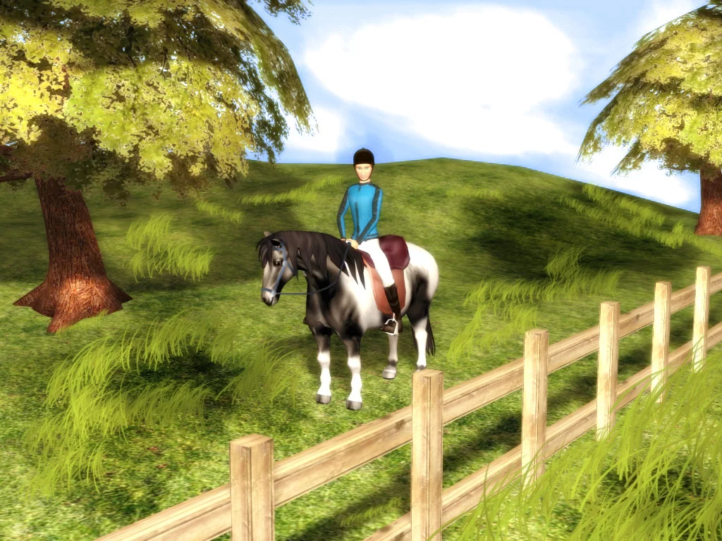 Изображение игры: Rider's World Competition