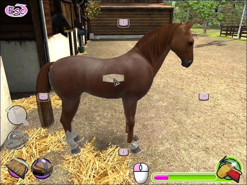 Изображение игры: My Gallops 3D