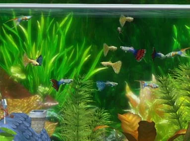 Изображение игры: AquaSpace
