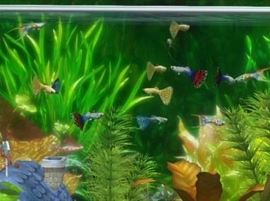 Изображение игры: AquaSpace