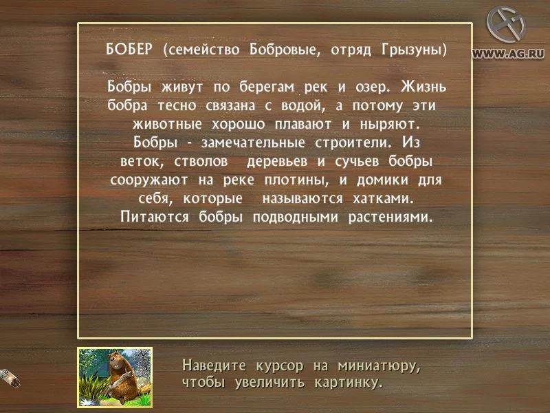 Изображение игры: Агентство "Котопес". По следам невиданных зверей