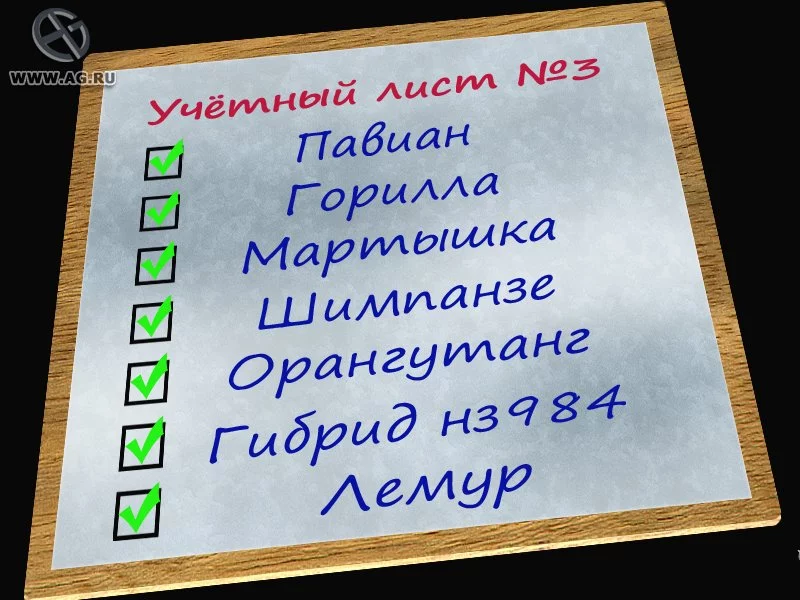 Изображение игры: Агентство "Котопес". По следам невиданных зверей