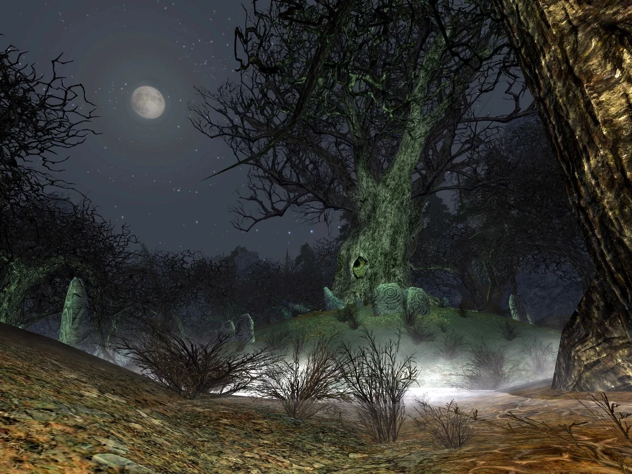 Изображение игры: The Lord of the Rings Online: Siege of Mirkwood