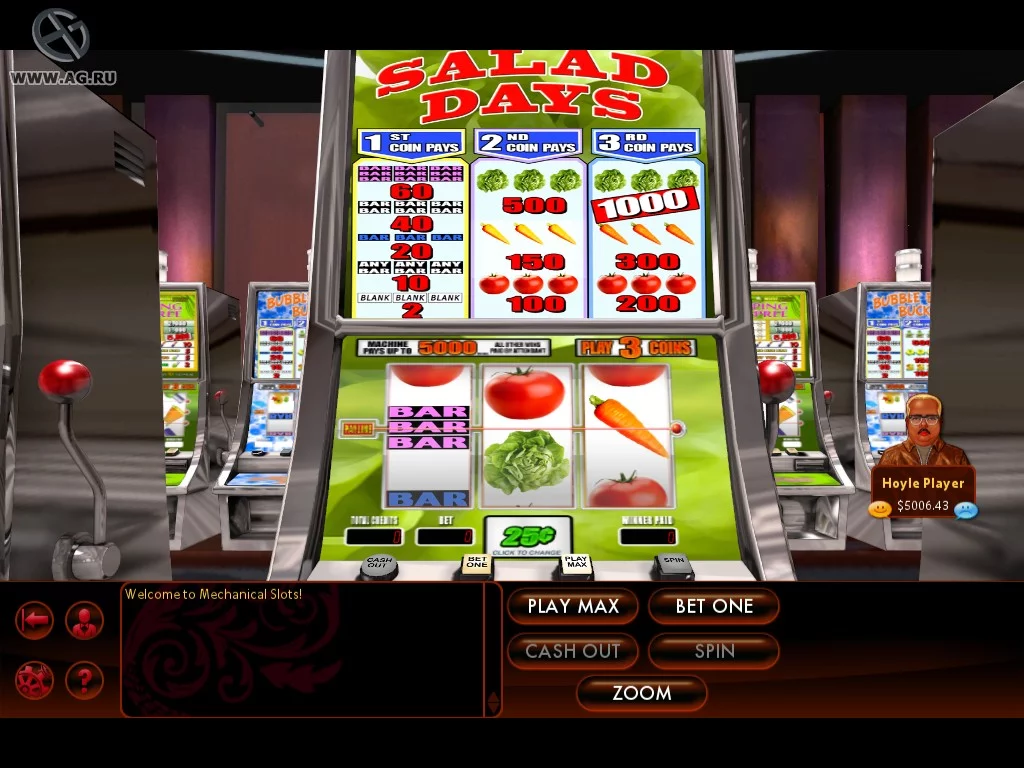 Изображение игры: Hoyle Slots (2010)