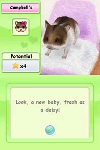Изображение игры: Petz Hamsterz Superstarz