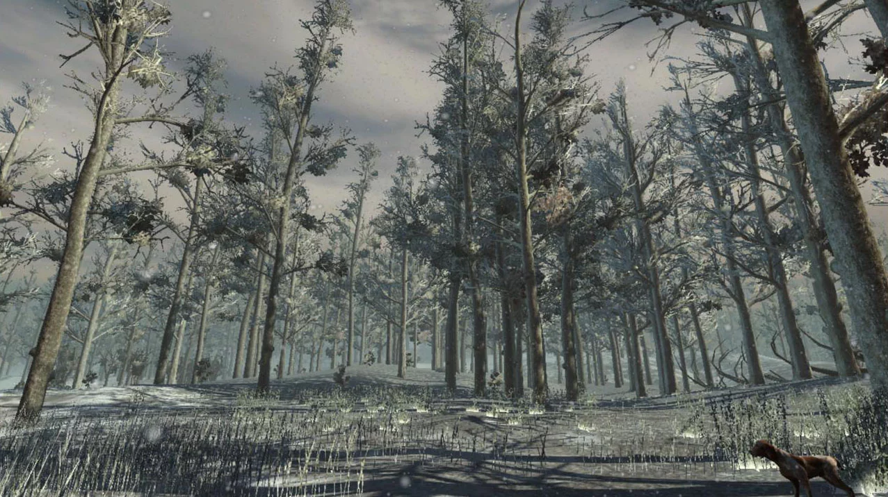Изображение игры: Hunter's Trophy