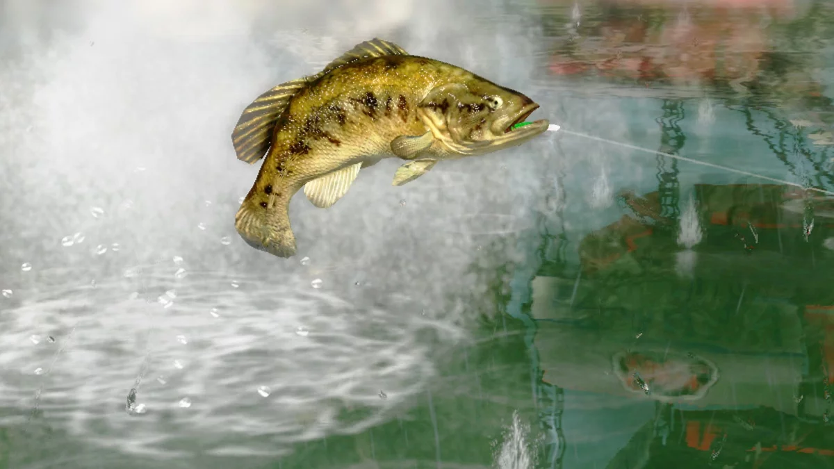 Изображение игры: Rapala Pro Bass Fishing