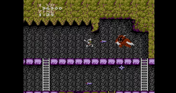 Изображение игры: Ghosts 'N Goblins
