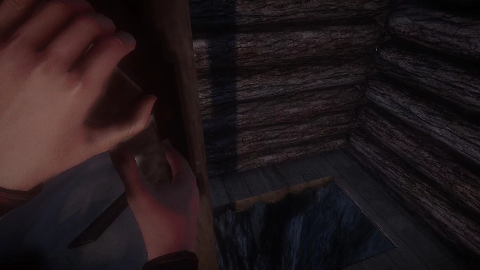 Изображение игры: Kôna: Day One