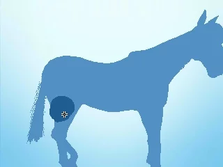 Изображение игры: My Riding Stables 3D - Jumping for the Team