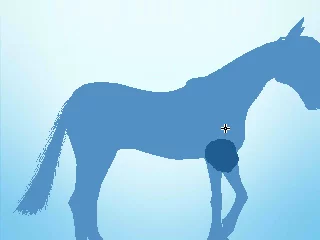 Изображение игры: My Riding Stables 3D - Jumping for the Team