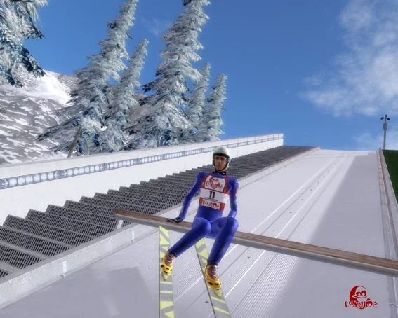 Изображение игры: Winter Challenge