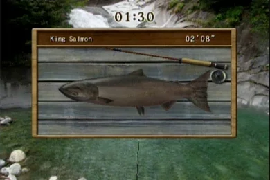Изображение игры: Reel Fishing Challenge