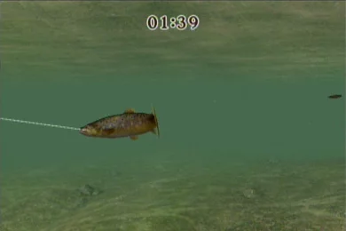 Изображение игры: Reel Fishing Challenge