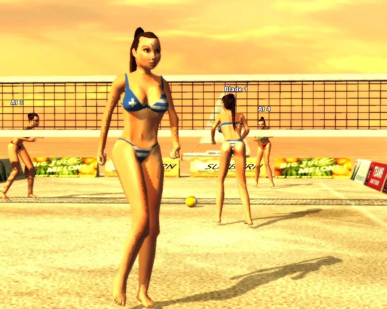 Изображение игры: Sunshine Beach Volleyball
