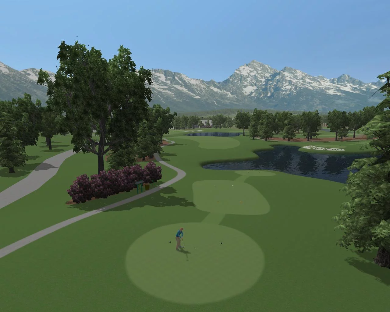 Изображение игры: CustomPlay Golf 2010