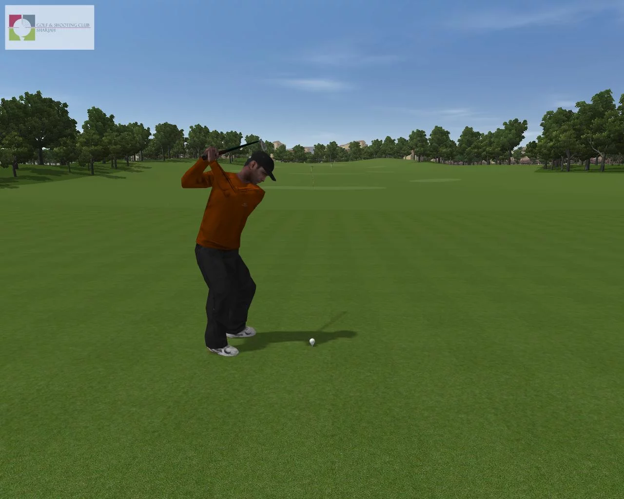 Изображение игры: CustomPlay Golf 2010