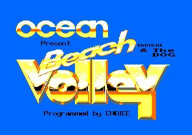 Изображение игры: Beach Volley