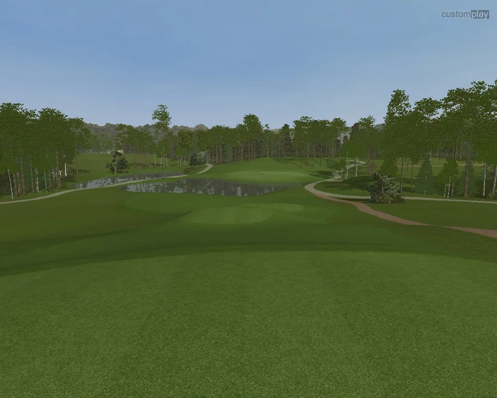 Изображение игры: Customplay Golf Expansion Pack