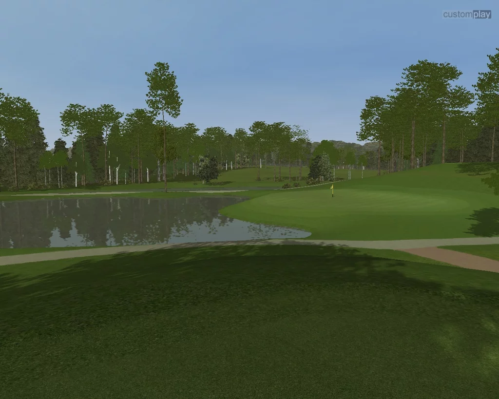 Изображение игры: Customplay Golf Expansion Pack